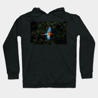 Red-and-green macaw at Buraco das Araras, Brazil Hoodie